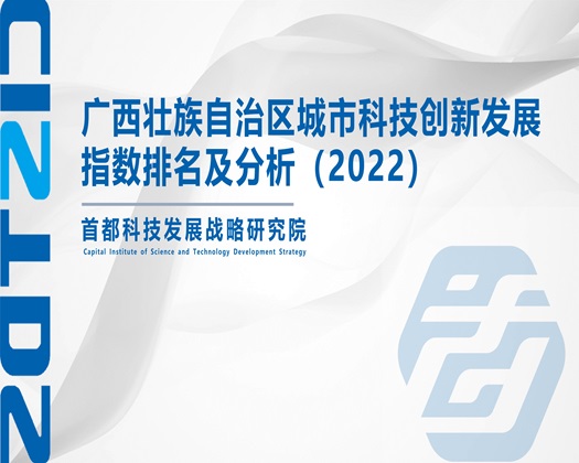 日逼逼网站【成果发布】广西壮族自治区城市科技创新发展指数排名及分析（2022）